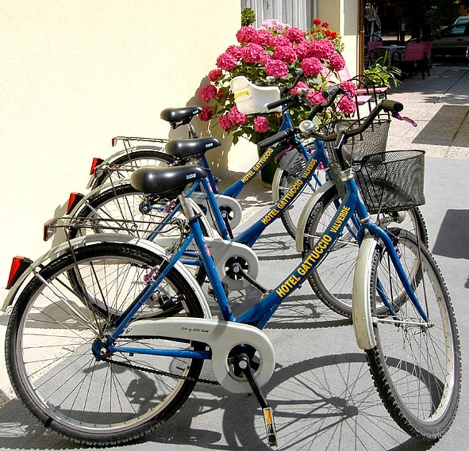 Hotel Gattuccio Cesenatico Exterior photo